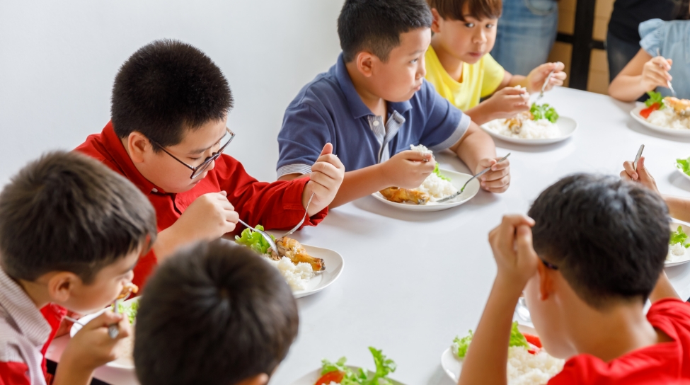 保育園・幼稚園の厨房で起こりやすい問題